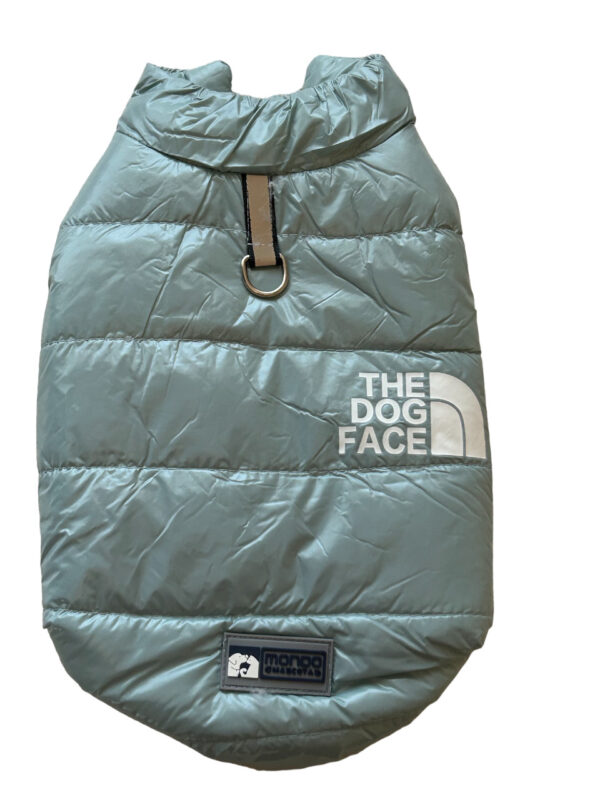 Parka the dog face