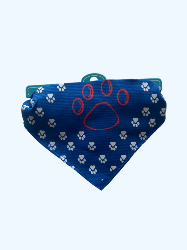 Collar con Bandana