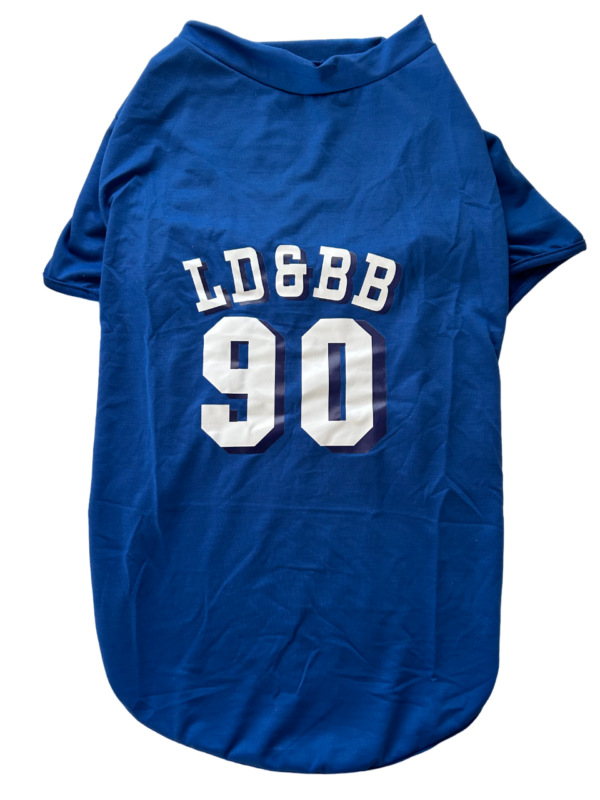 Camiseta estampado