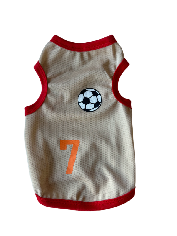 Camiseta de fútbol
